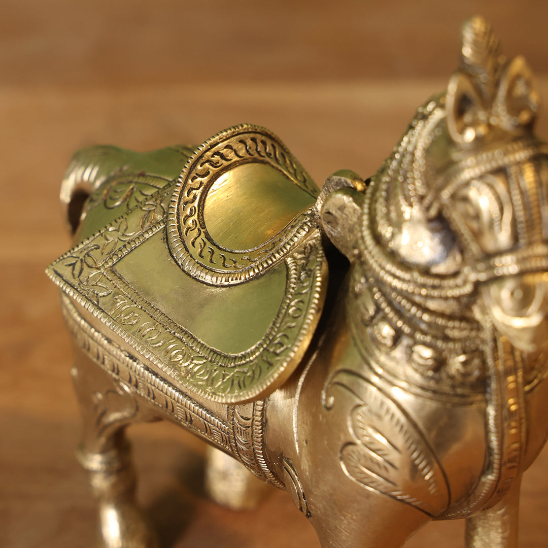 Brass Horse Figurine Money Box (6.2 Inch) Vedansh Craft