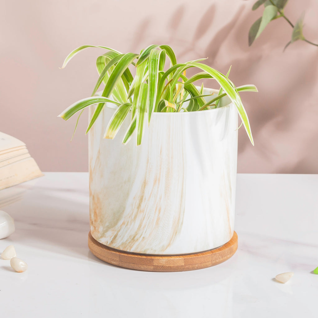 Carrara Brown Splash White Planter With Wooden Coaster Nestasia