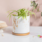 Earthy Elegance Planter Pot With Coaster Set Of 4 Nestasia