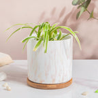 Carrara White And Brown Ceramic Planter With Wooden Coaster Nestasia