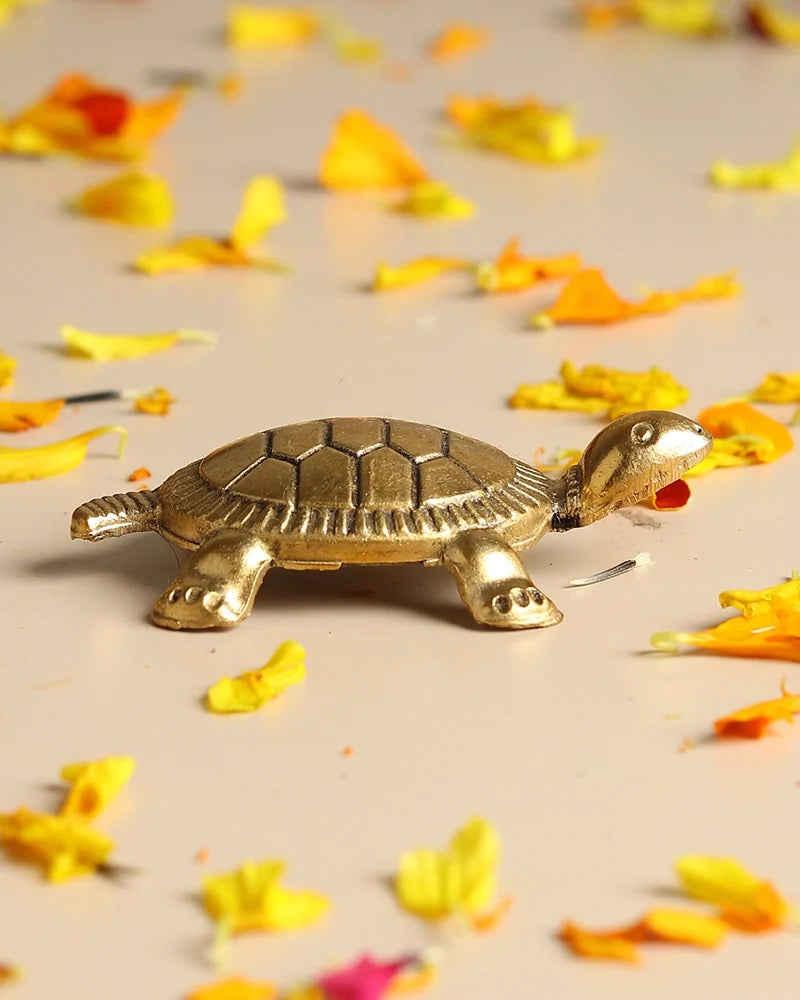 Pure Brass Feng Shui Tortoise for Wealth & Prosperity