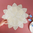 White Placemat Set of 2 Nestasia