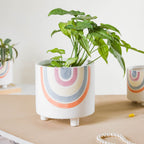 Rainbow Round Pot Large Nestasia