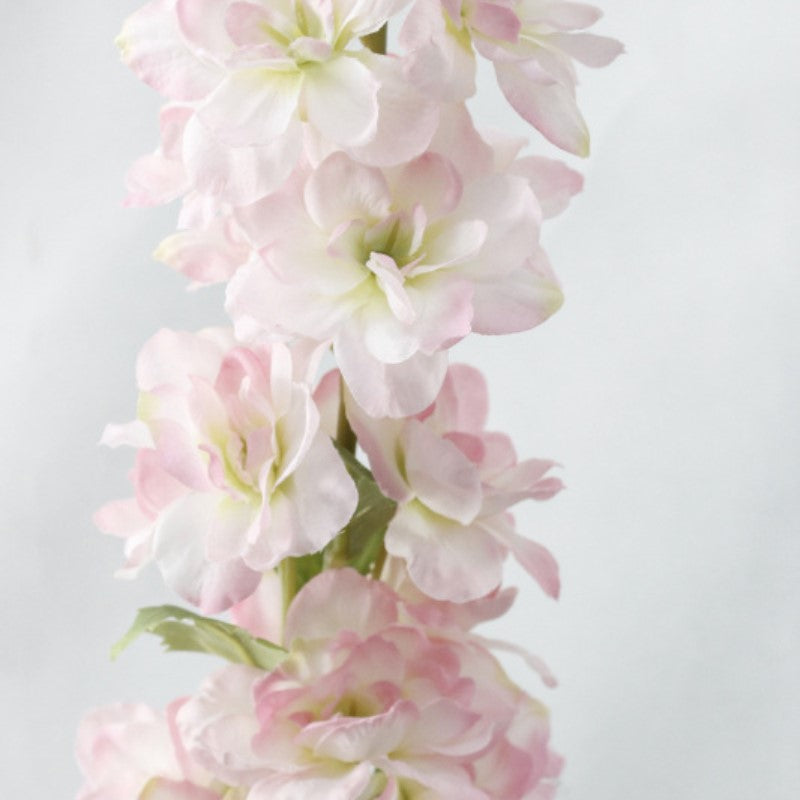 Delphinium Flower Nestasia