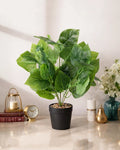 Artificial Plant with Pot Indoor Decorative Green Plant