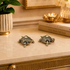 Brass Lightweight Tortoise Vastu/Feng Shui Pair (0.5 Inch) Vedansh Craft
