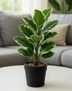 Realistic Artificial Leaves Plant with Pot for Modern Home and Room Decor