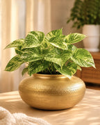 Glossy Metallic Iron Vase for Living Room Tabletop and Home Decor