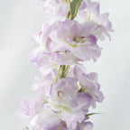 Delphinium Flower Nestasia