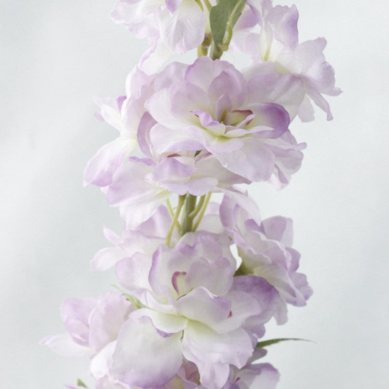 Delphinium Flower Nestasia