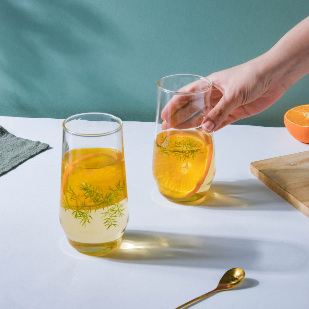 Sleek Glass Tumbler Set of 2 Nestasia