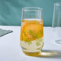 Sleek Glass Tumbler Set of 2 Nestasia