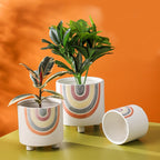 Rainbow Round Pot Large Nestasia