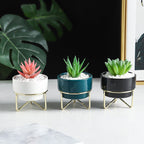 Small Flower Pot