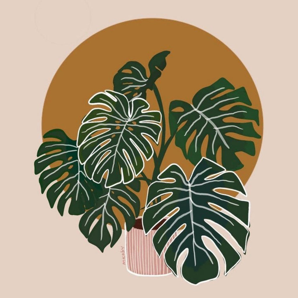 Monstera DIY Kit Paint By Numbers Nestasia