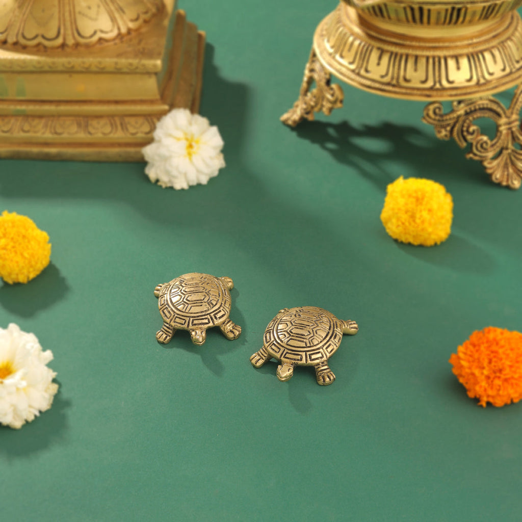 Brass Tortoise Vastu/Feng Shui Pair (0.5 Inch) Vedansh Craft