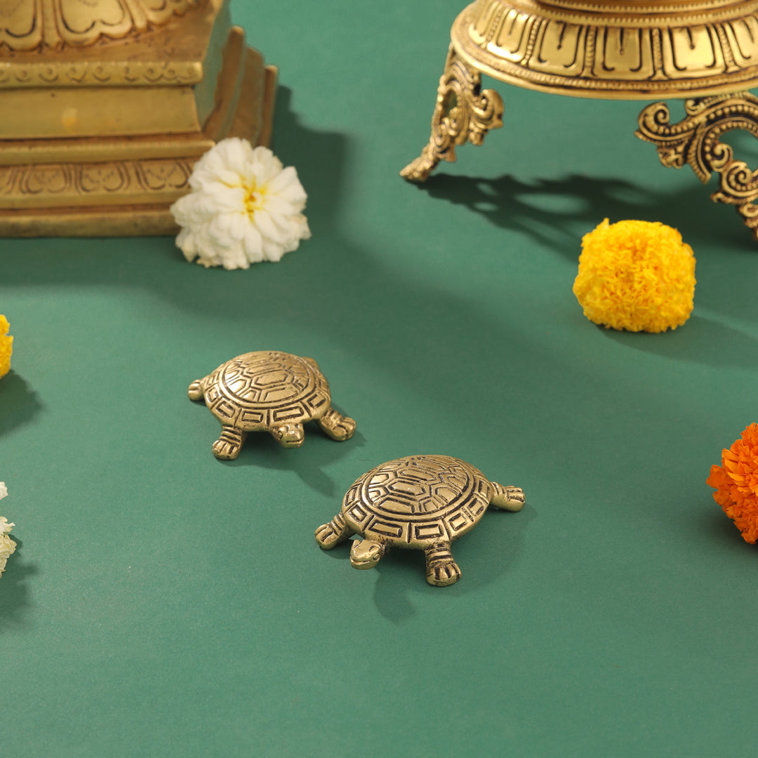 Brass Tortoise Vastu/Feng Shui Pair (0.5 Inch) Vedansh Craft