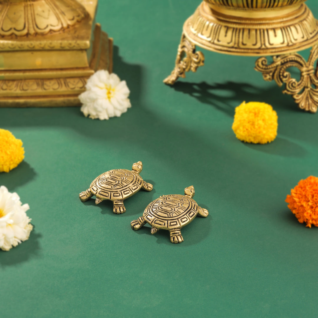 Brass Tortoise Vastu/Feng Shui Pair (0.5 Inch) Vedansh Craft