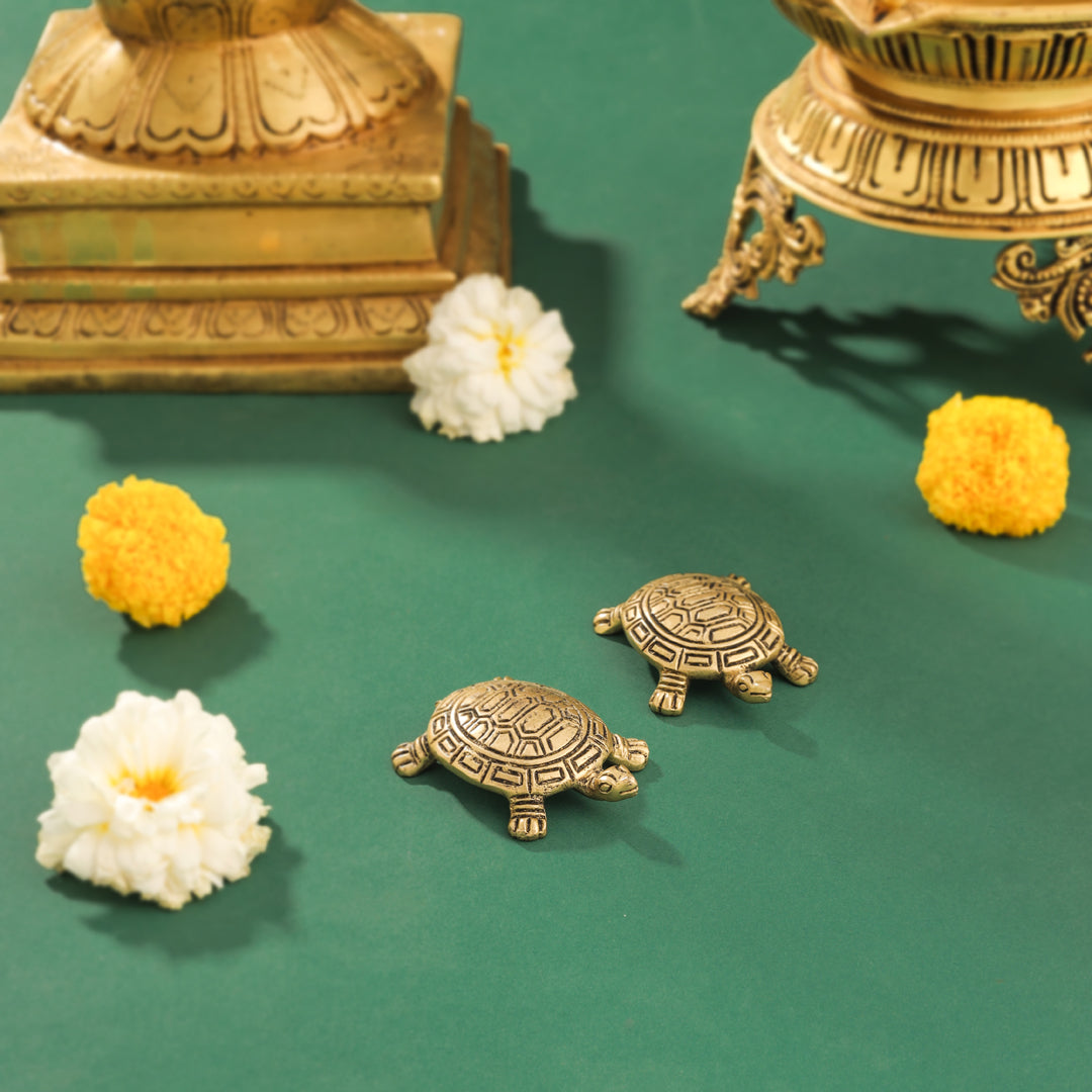 Brass Tortoise Vastu/Feng Shui Pair (0.5 Inch) Vedansh Craft