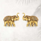 Brass Elephant Wall Hanging Set (15 Inch) Vedansh Craft