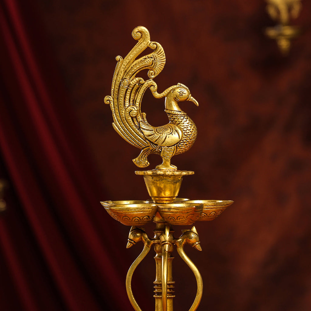 Brass Twelve Petal Peacock Long Lamp (20 Inch) Vedansh Craft