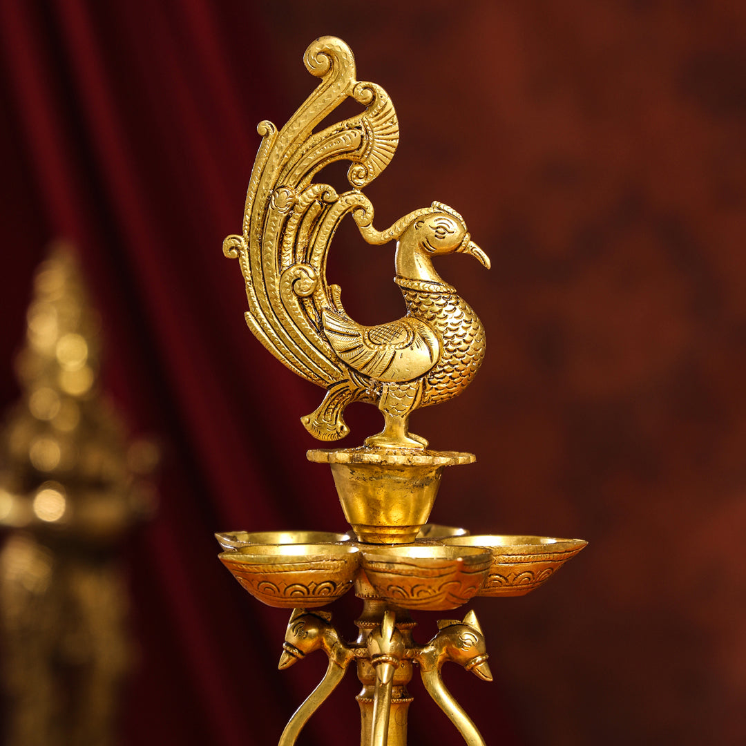 Brass Twelve Petal Peacock Long Lamp (20 Inch) Vedansh Craft