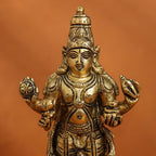 Brass Lord Dhanvantari Idol (6.5 Inch) Vedansh Craft