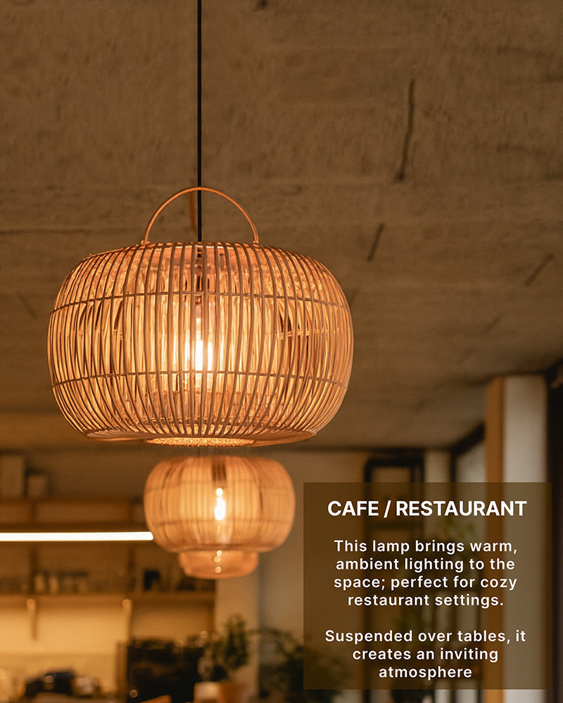 Contemporary Ceiling Hanging Light for Living Room Decor