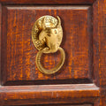 Brass Cow Face Door Knocker (6.5 Inch) Vedansh Craft
