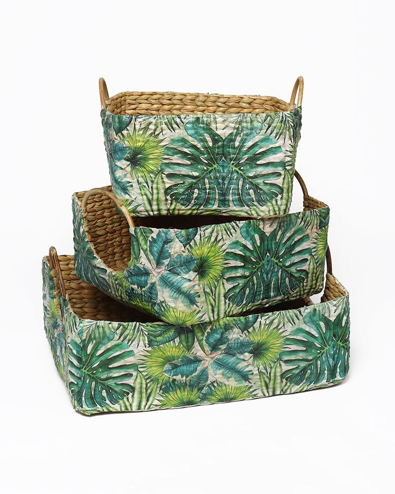 Handmade Seagrass Cane Handle Trays Set of 3 for Serving, Storage, and Decorative Display