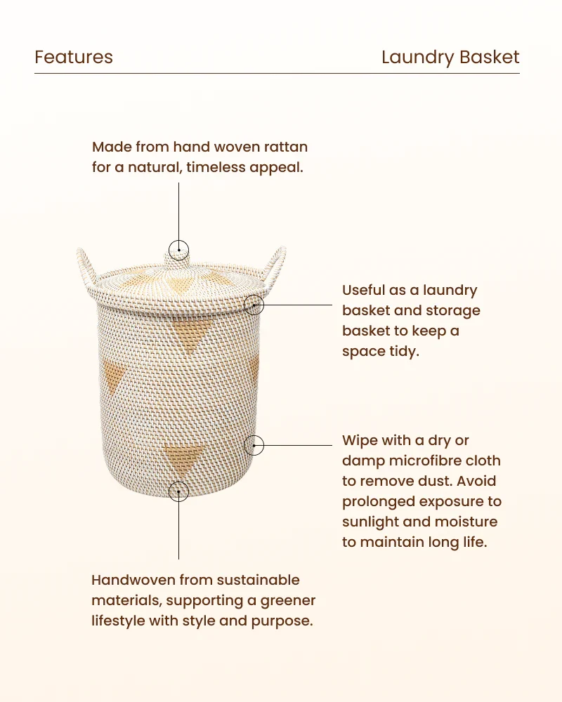 Rattan Storage Basket with Lid for Living Room and Closet