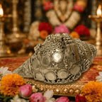 Brass Lightweight Vishwaroopam Vishnu Conch Vedansh Craft