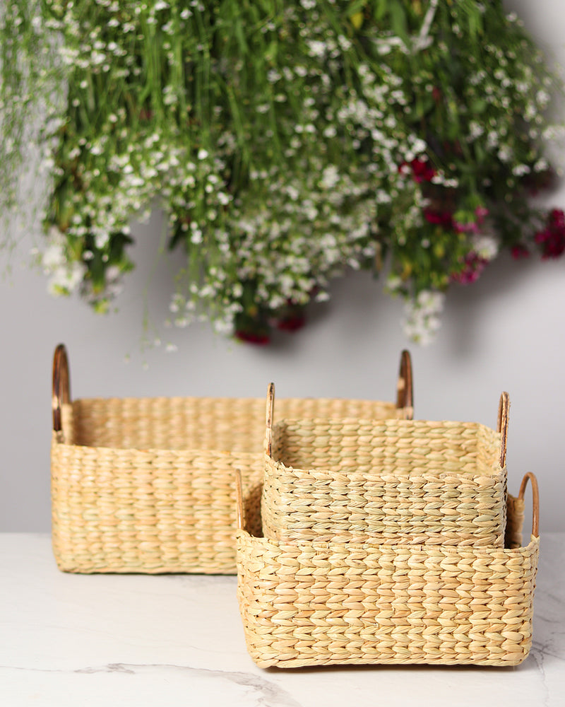 Seagrass Storage Basket with Cane Handles for Kitchen and Living Room