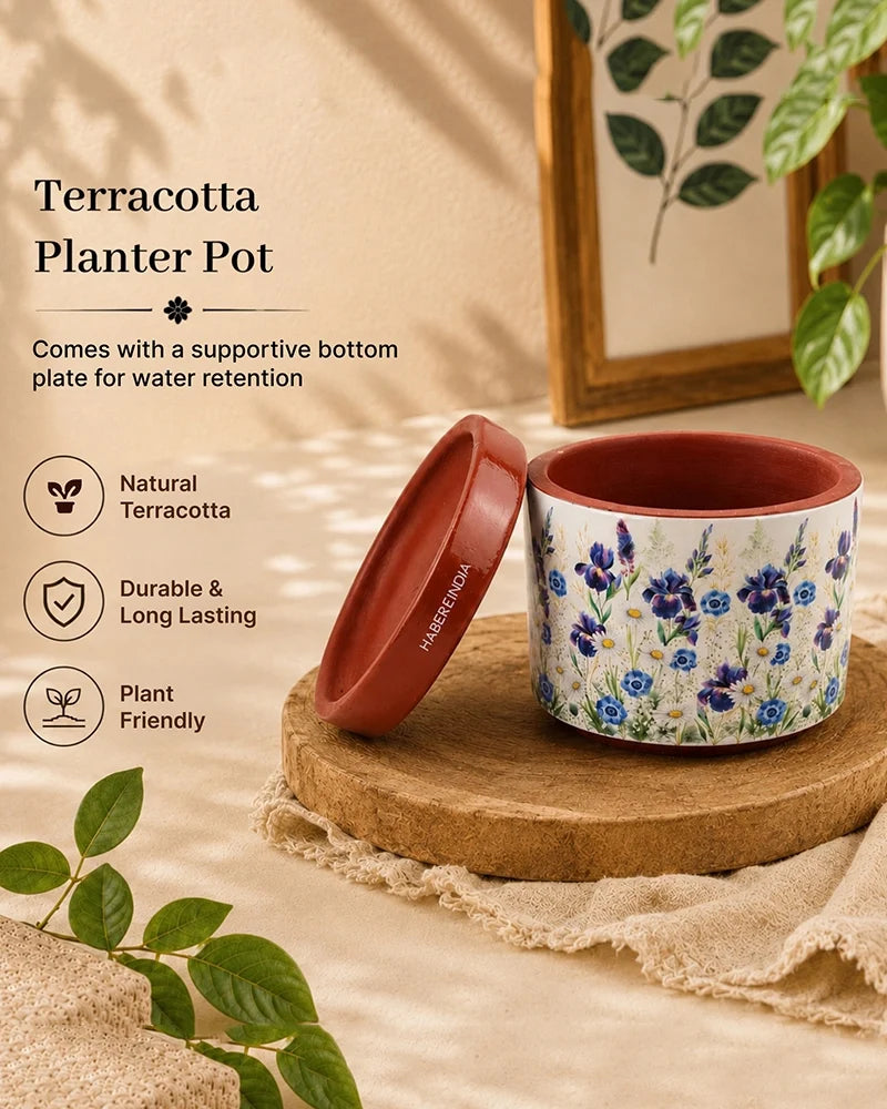 Floral Print Terracotta Planter with Under Plate (Multicolour)