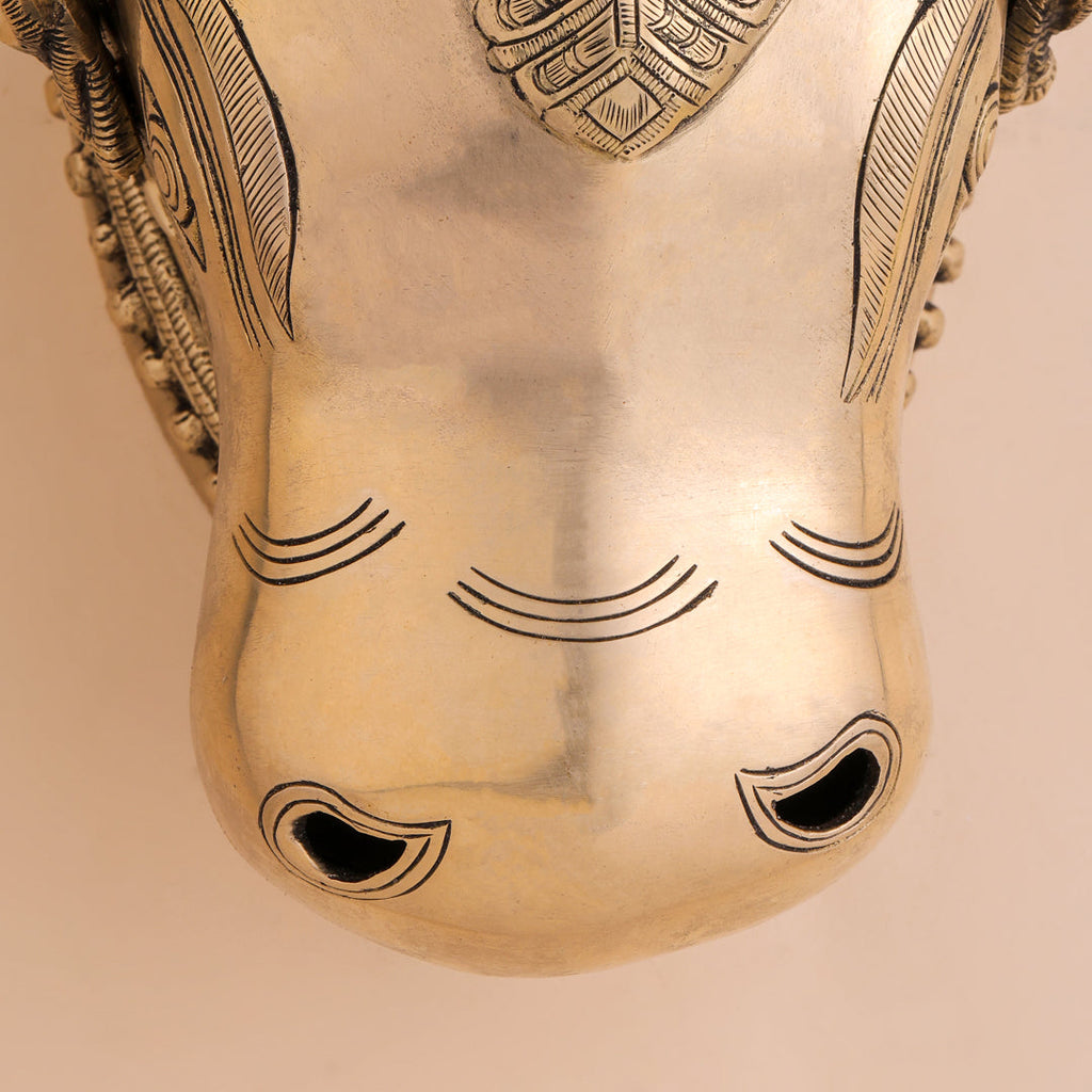 Brass Nandi Head Wall Decor (10 Inch) Vedansh Craft