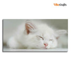 VIBECRAFTS Canvas Paintings for Living Room Drawing Room White Kitten Sleeping Canvas Wall Painting Fitted With Wooden Frame For Home | Office | Gift |(PTVCH_2309)