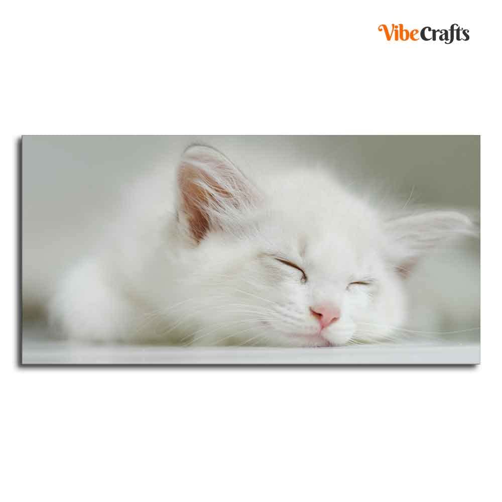 VIBECRAFTS Canvas Paintings for Living Room Drawing Room White Kitten Sleeping Canvas Wall Painting Fitted With Wooden Frame For Home | Office | Gift |(PTVCH_2309)