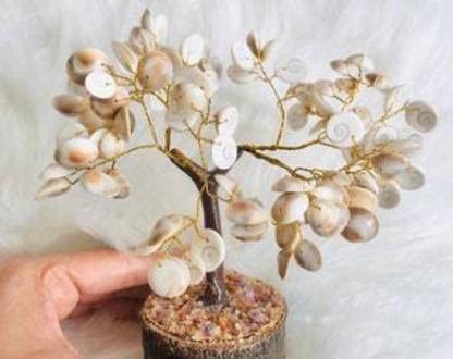 Galox Natural & Original Gomti Chakra Tree, 100 Beads