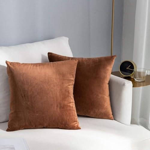 AAZEEM Decorative 18 x 18 Inch Throw Pillow Covers Set of 1 | Super Soft Velvet Pillows|Fall Pillowcase for Living Room Bedroom Sofa Couch Cushion Cover | Velvet