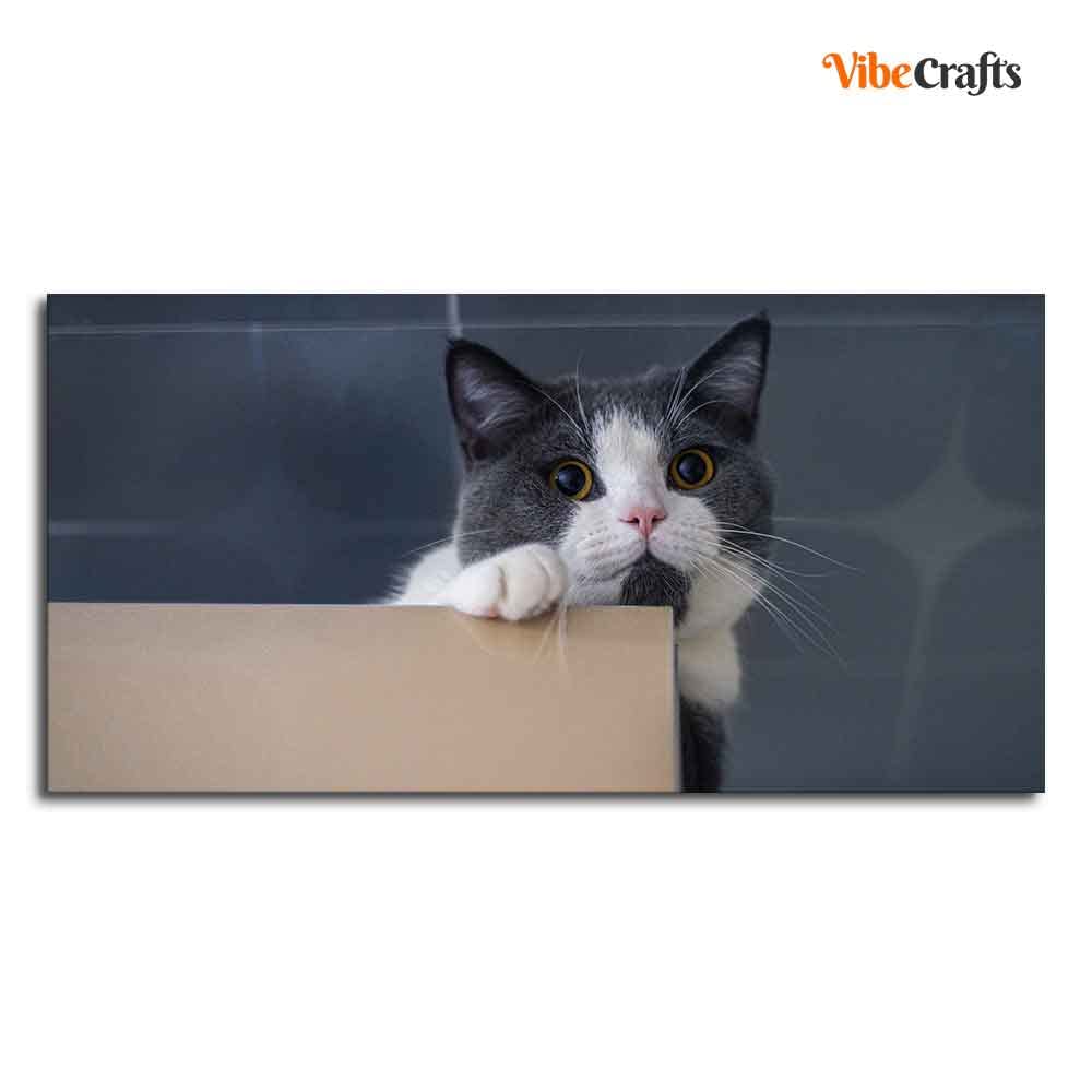 VIBECRAFTS Canvas Paintings for Living Room Drawing Room Beautiful Cat Peeping Over Ledge Wall Painting Fitted With Wooden Frame For Home | Office | Gift |(PTVCH_2306)