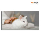 VIBECRAFTS Canvas Paintings for Living Room Drawing Room Cute White Bunny Premium Wall Painting Wall Painting Fitted with Wooden Frame for Home | Office | Gift (PTVCH_2318)