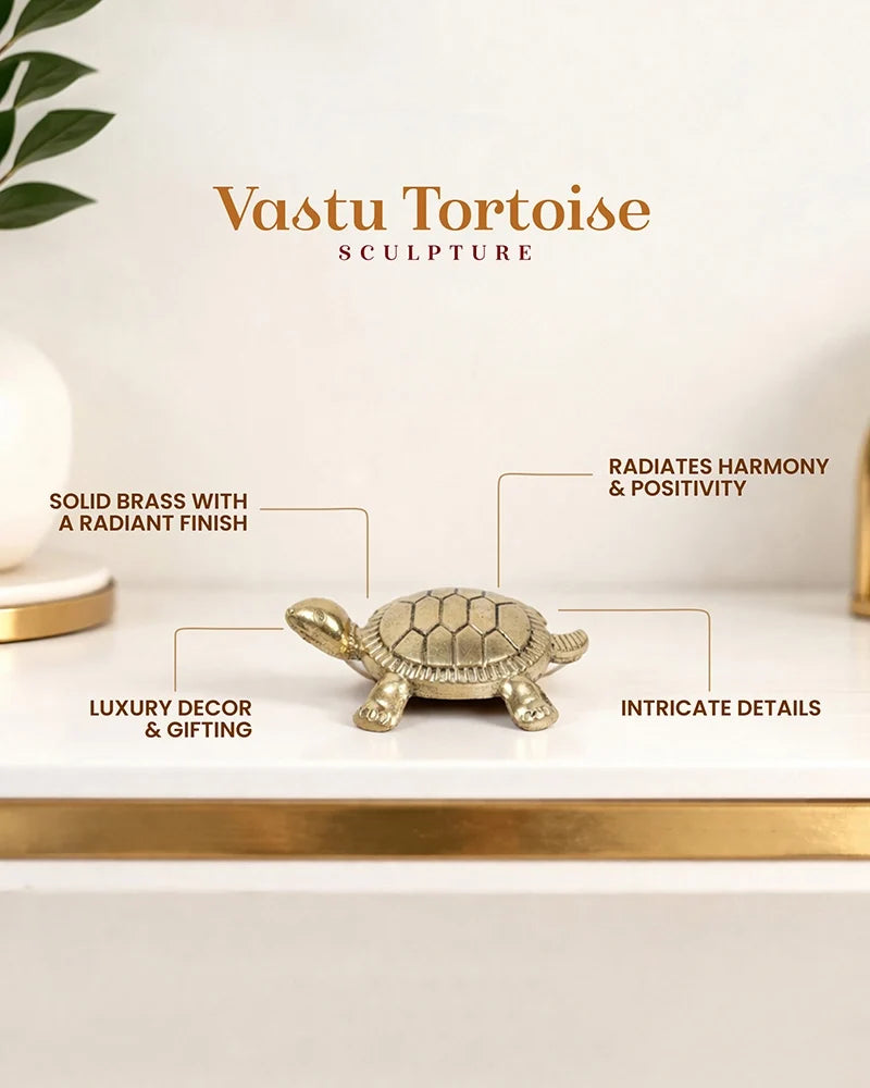 Pure Brass Feng Shui Tortoise for Wealth & Prosperity