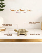 Pure Brass Feng Shui Tortoise for Wealth & Prosperity