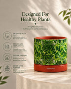 Handcrafted Flower Pot for Garden and Indoor Corners