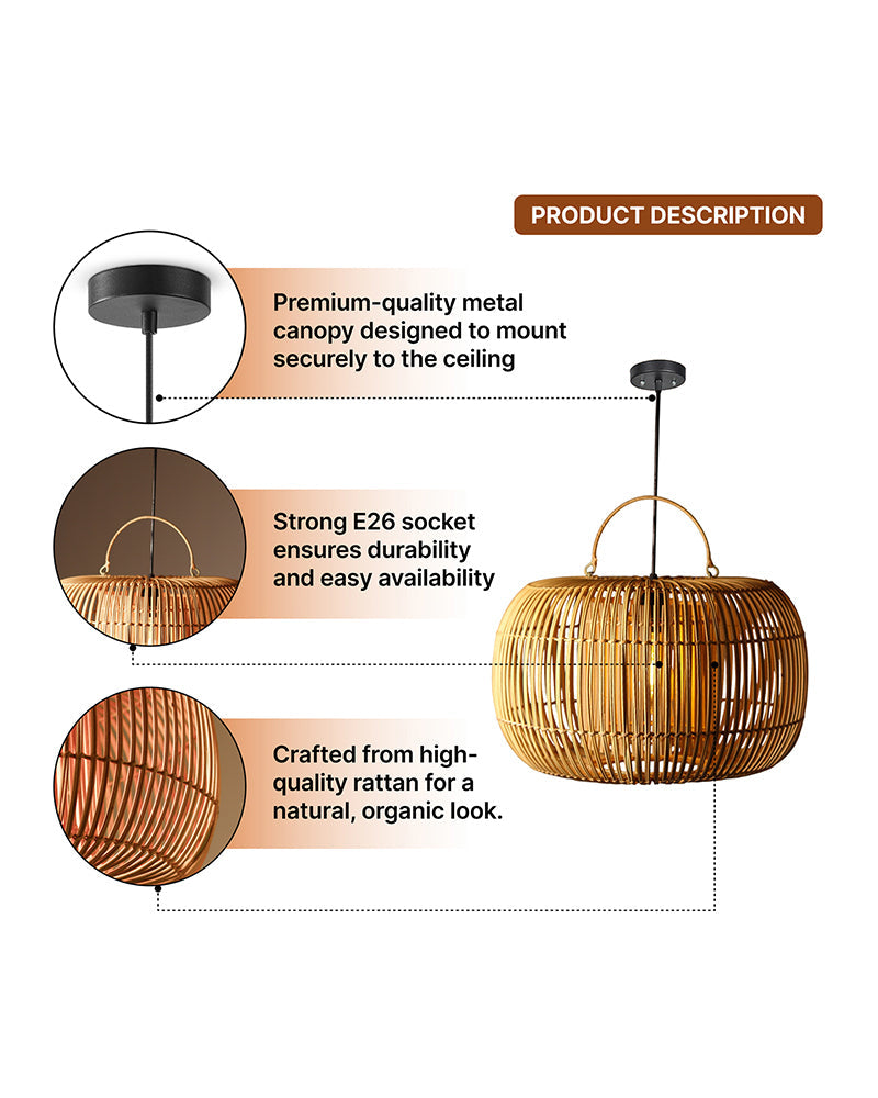 Contemporary Ceiling Hanging Light for Living Room Decor