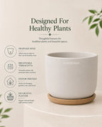 Mini Pot Vase for Tabletop Home Decor Accents