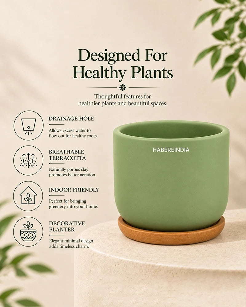Small Terracotta Pot for Living Room Decoration