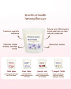 Set of 4 Scented Aroma Candles in Glass, 45gm Each with 8 Hour Burn for Decorative Fragrance and Gifting