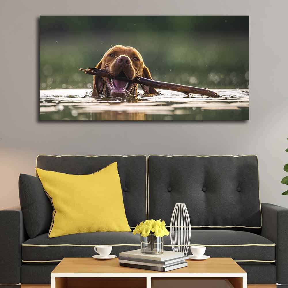 VIBECRAFTS Canvas Paintings for Living Room Drawing Room Dog Swinmming Premium Wall Painting Fitted with Wooden Frame for Home | Office | Gift (PTVCH_2304)