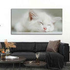 VIBECRAFTS Canvas Paintings for Living Room Drawing Room White Kitten Sleeping Canvas Wall Painting Fitted With Wooden Frame For Home | Office | Gift |(PTVCH_2309)